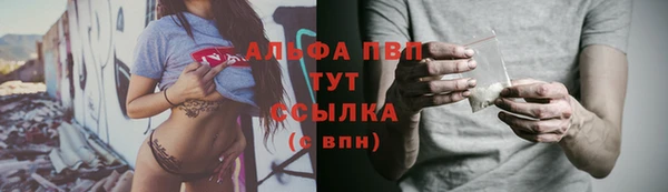прущие крисы Белокуриха