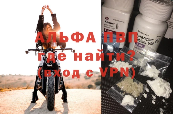 прущие крисы Белокуриха