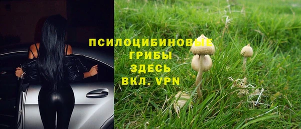 2c-b Белоозёрский