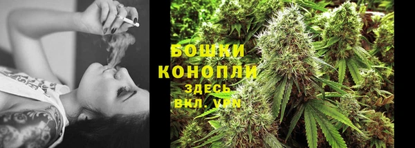 прущие крисы Белокуриха