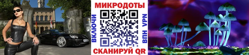 Псилоцибиновые грибы Psilocybine cubensis  Дзержинск 