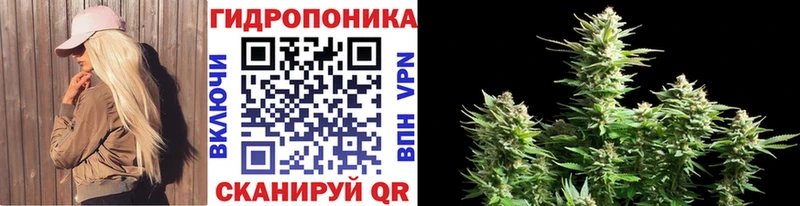 Марихуана AK-47 Дзержинск